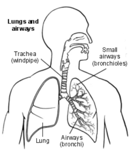 Bronchiolitis - North Tees and Hartlepool NHS Foundation Trust