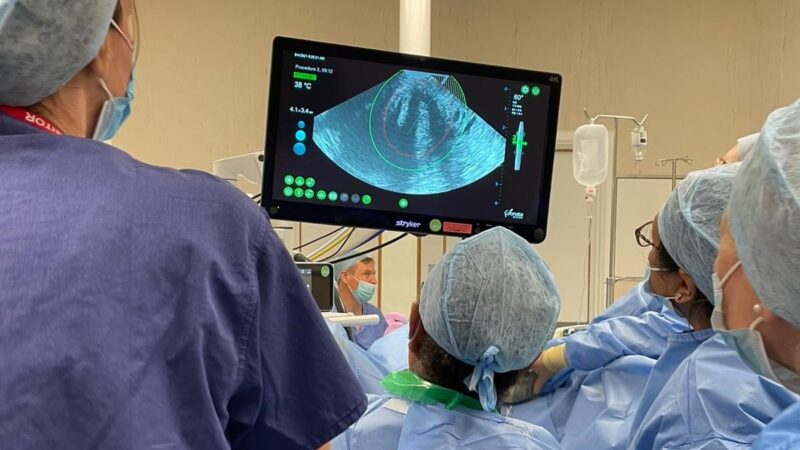 The gynaecology team stand around a screen showing a scan. They were scrubs.